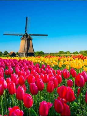Spring Mood🌷